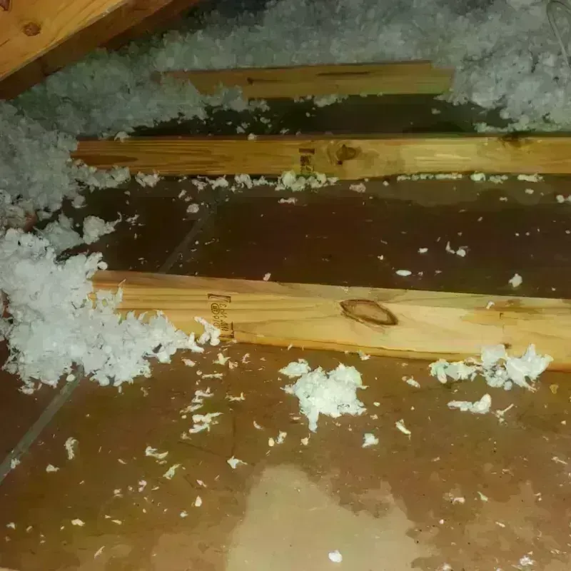 Attic Water Damage in City of Norton, VA