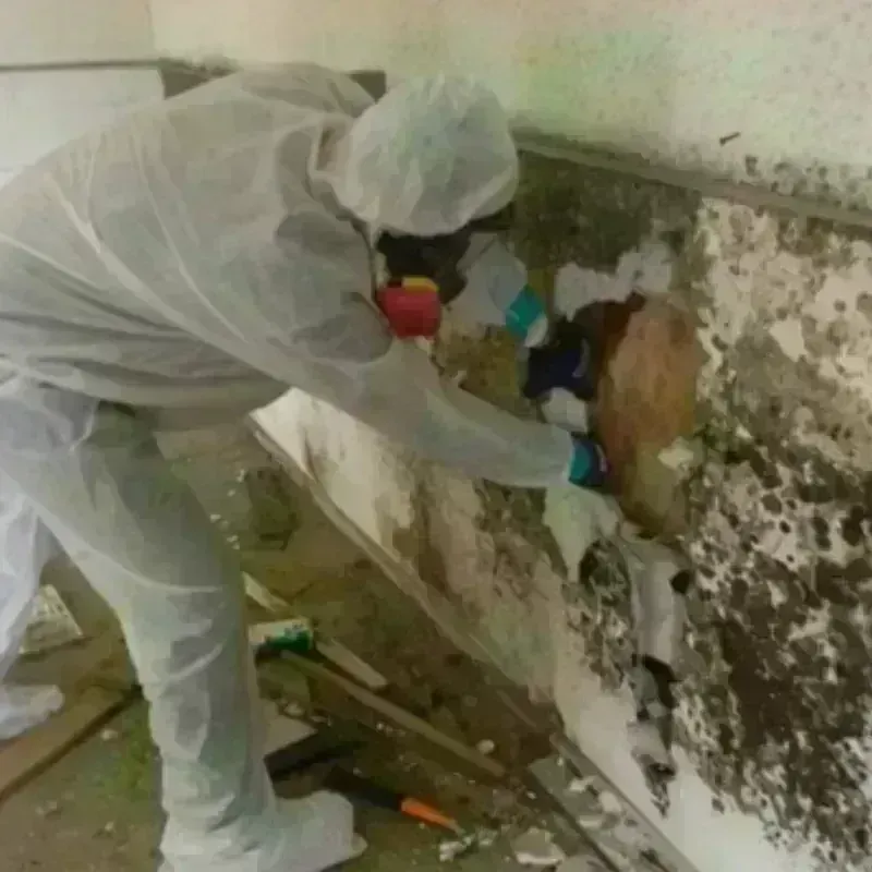 Mold Remediation and Removal in City of Norton, VA