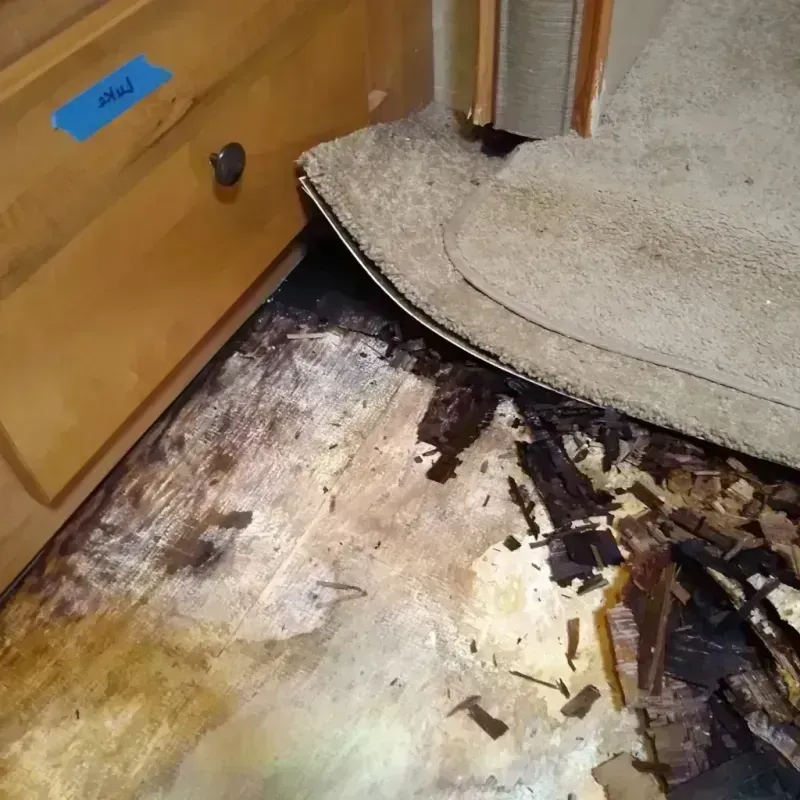 Wood Floor Water Damage in City of Norton, VA